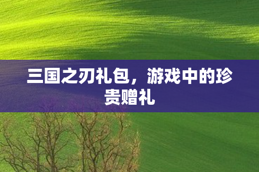三国之刃礼包，游戏中的珍贵赠礼