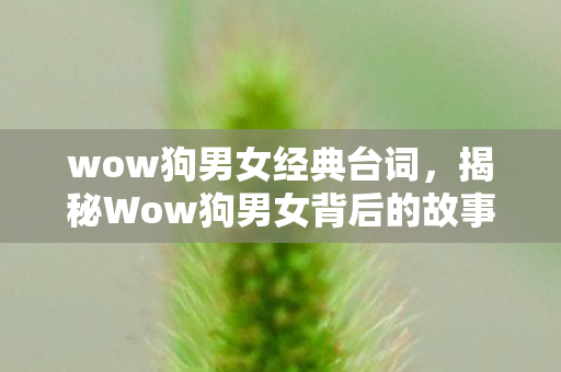 wow狗男女经典台词，揭秘Wow狗男女背后的故事，一段跨越物种的奇妙缘分