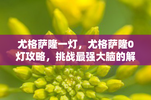 尤格萨隆一灯，尤格萨隆0灯攻略，挑战最强大脑的解密之旅