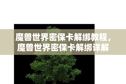 魔兽世界密保卡解绑教程，魔兽世界密保卡解绑详解