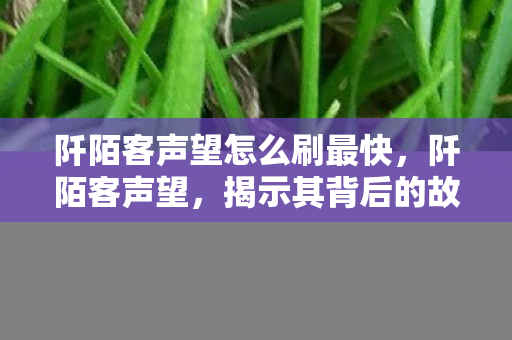 阡陌客声望怎么刷最快，阡陌客声望，揭示其背后的故事与影响力