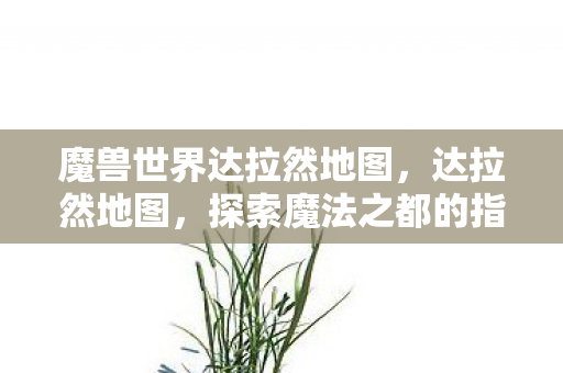 魔兽世界达拉然地图，达拉然地图，探索魔法之都的指南