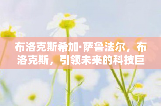 布洛克斯希加·萨鲁法尔，布洛克斯，引领未来的科技巨头的新篇章