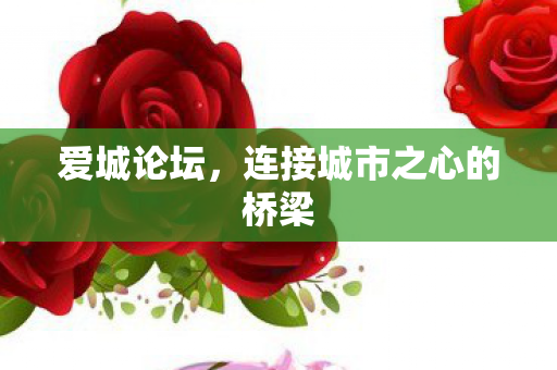 爱城论坛，连接城市之心的桥梁