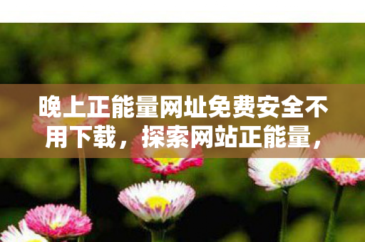 晚上正能量网址免费安全不用下载，探索网站正能量，晚上免费软件的秘密世界