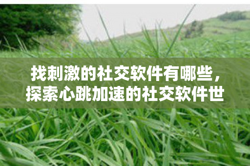 找刺激的社交软件有哪些，探索心跳加速的社交软件世界