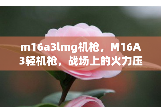 m16a3lmg机枪，M16A3轻机枪，战场上的火力压制利器
