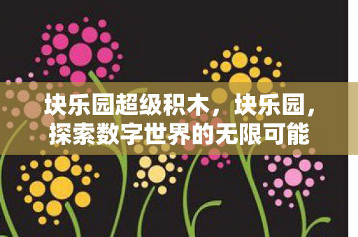 块乐园超级积木，块乐园，探索数字世界的无限可能