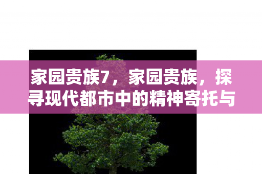 家园贵族7，家园贵族，探寻现代都市中的精神寄托与生活品质