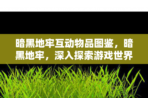 暗黑地牢互动物品图鉴，暗黑地牢，深入探索游戏世界的黑暗面貌