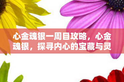 心金魂银一周目攻略，心金魂银，探寻内心的宝藏与灵魂的银矿