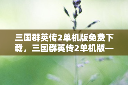三国群英传2单机版免费下载，三国群英传2单机版—重温经典，策略与勇气的较量