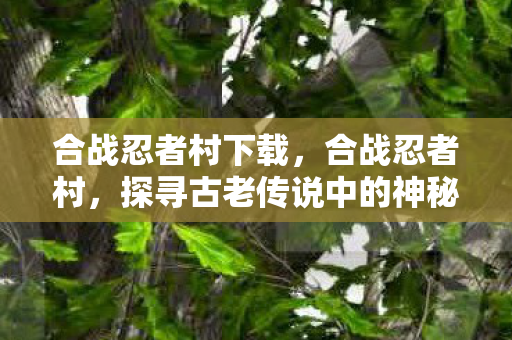 合战忍者村下载，合战忍者村，探寻古老传说中的神秘之地