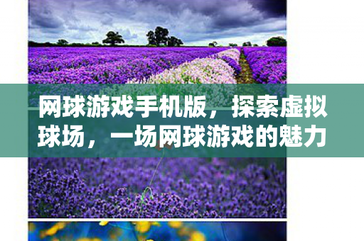 网球游戏手机版，探索虚拟球场，一场网球游戏的魅力之旅