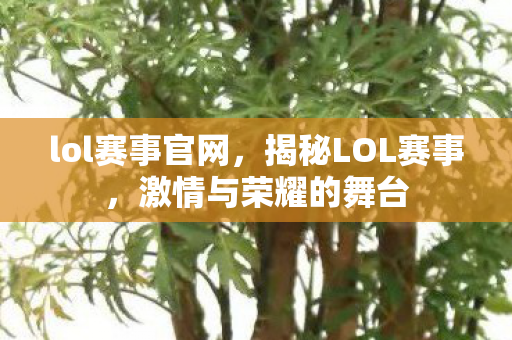 lol赛事官网，揭秘LOL赛事，激情与荣耀的舞台