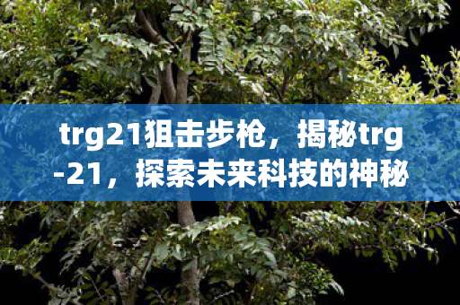 trg21狙击步枪，揭秘trg-21，探索未来科技的神秘面纱