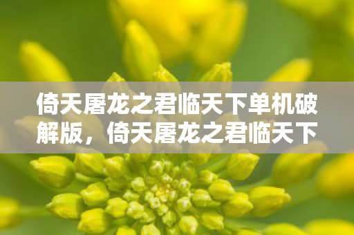 倚天屠龙之君临天下单机破解版，倚天屠龙之君临天下—江湖英雄传