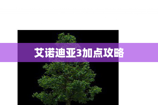 艾诺迪亚3加点攻略