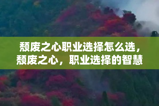 颓废之心职业选择怎么选，颓废之心，职业选择的智慧与勇气