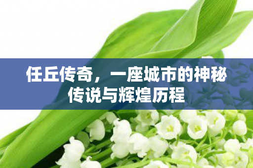 任丘传奇，一座城市的神秘传说与辉煌历程