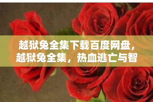 越狱兔全集下载百度网盘，越狱兔全集，热血逃亡与智慧对决的传奇故事