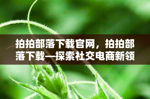 拍拍部落下载官网，拍拍部落下载—探索社交电商新领域
