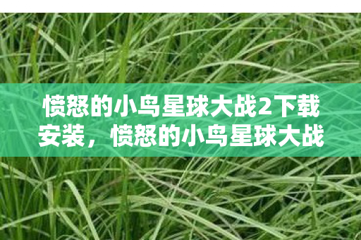 愤怒的小鸟星球大战2下载安装，愤怒的小鸟星球大战2，如何下载及游戏体验