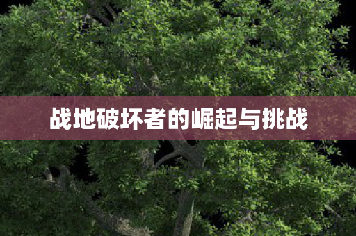 战地破坏者的崛起与挑战