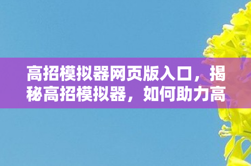 高招模拟器网页版入口，揭秘高招模拟器，如何助力高考备考？