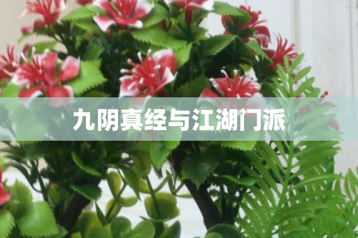 九阴真经与江湖门派