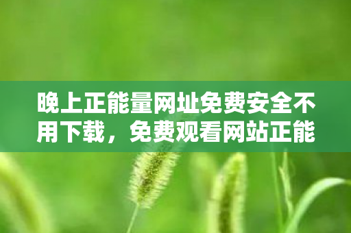 晚上正能量网址免费安全不用下载，免费观看网站正能量，无需下载任何软件？深度解析与合理建议