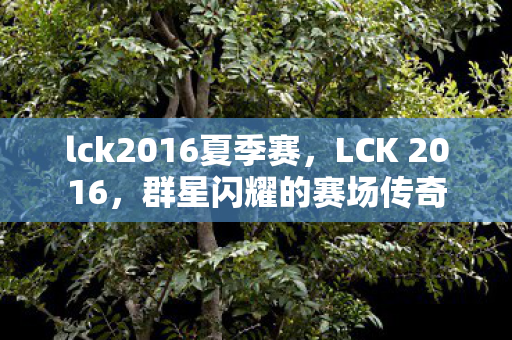 lck2016夏季赛，LCK 2016，群星闪耀的赛场传奇
