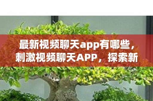 最新视频聊天app有哪些，刺激视频聊天APP，探索新时代社交方式的无限可能