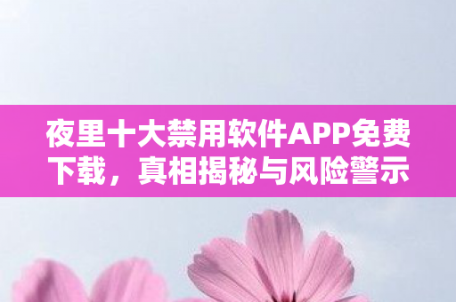 夜里十大禁用软件APP免费下载，真相揭秘与风险警示