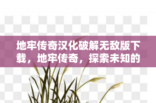 地牢传奇汉化破解无敌版下载，地牢传奇，探索未知的深渊