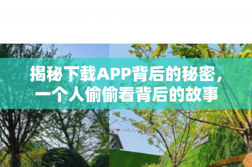 揭秘下载APP背后的秘密，一个人偷偷看背后的故事