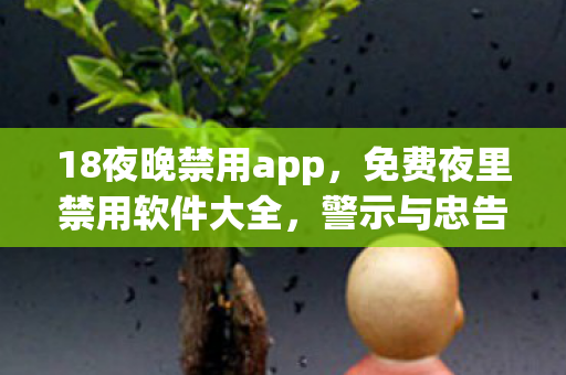 18夜晚禁用app，免费夜里禁用软件大全，警示与忠告