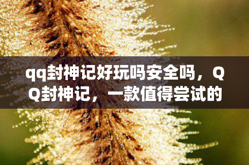 qq封神记好玩吗安全吗，QQ封神记，一款值得尝试的休闲游戏