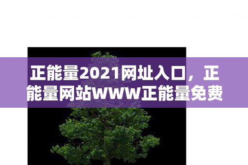 正能量2021网址入口，正能量网站WWW正能量免费观看软件，探索与反思