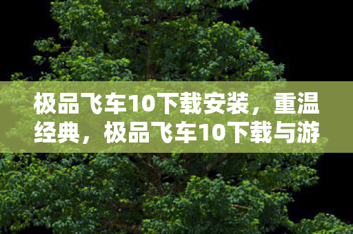 极品飞车10下载安装，重温经典，极品飞车10下载与游戏回顾