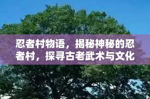 忍者村物语，揭秘神秘的忍者村，探寻古老武术与文化的魅力之源
