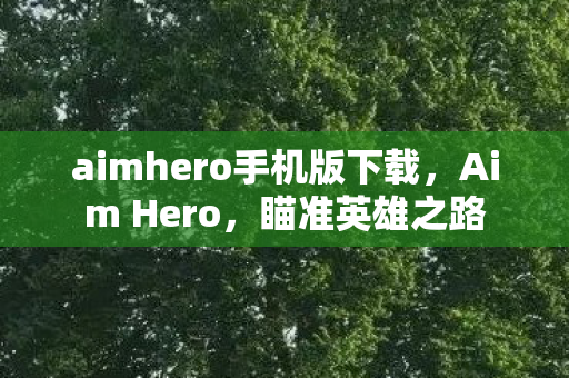 aimhero手机版下载，Aim Hero，瞄准英雄之路
