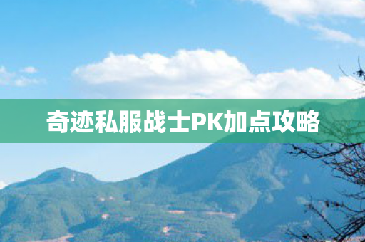 奇迹私服战士PK加点攻略