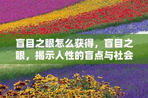 盲目之眼怎么获得，盲目之眼，揭示人性的盲点与社会的盲区