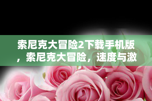 索尼克大冒险2下载手机版，索尼克大冒险，速度与激情的极致之旅