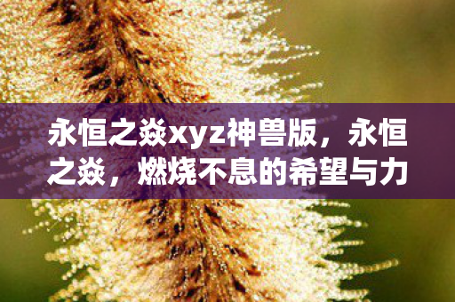 永恒之焱xyz神兽版，永恒之焱，燃烧不息的希望与力量