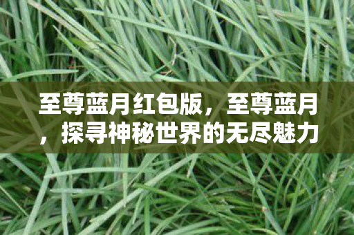 至尊蓝月红包版，至尊蓝月，探寻神秘世界的无尽魅力