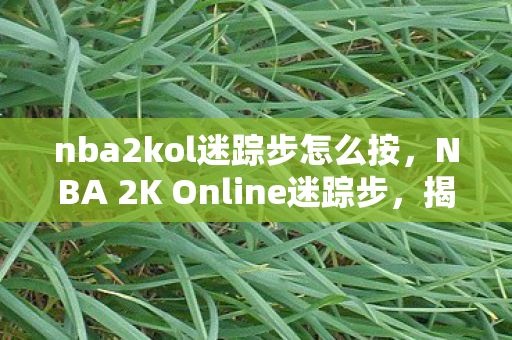 nba2kol迷踪步怎么按，NBA 2K Online迷踪步，揭秘高手的独门秘籍