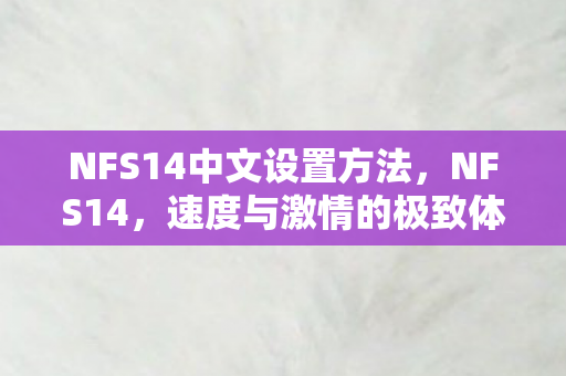NFS14中文设置方法，NFS14，速度与激情的极致体验