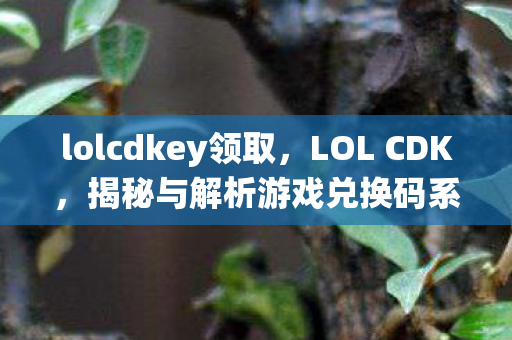 lolcdkey领取，LOL CDK，揭秘与解析游戏兑换码系统